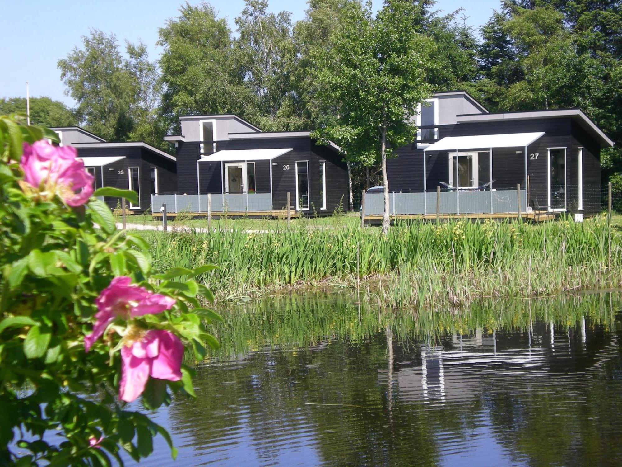 Asaa Camping & Cottages 객실 사진